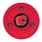 Green Biscuit Calgary Flames Eishockey Off Ice Asphalt Trainingspuck