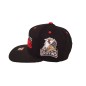 CCM Grand Rapids Griffins Flat Brim Snapback