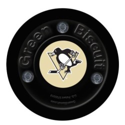 Green Biscuit Pittsburgh Penguins Eishockey Off Ice Asphalt Trainingspuck